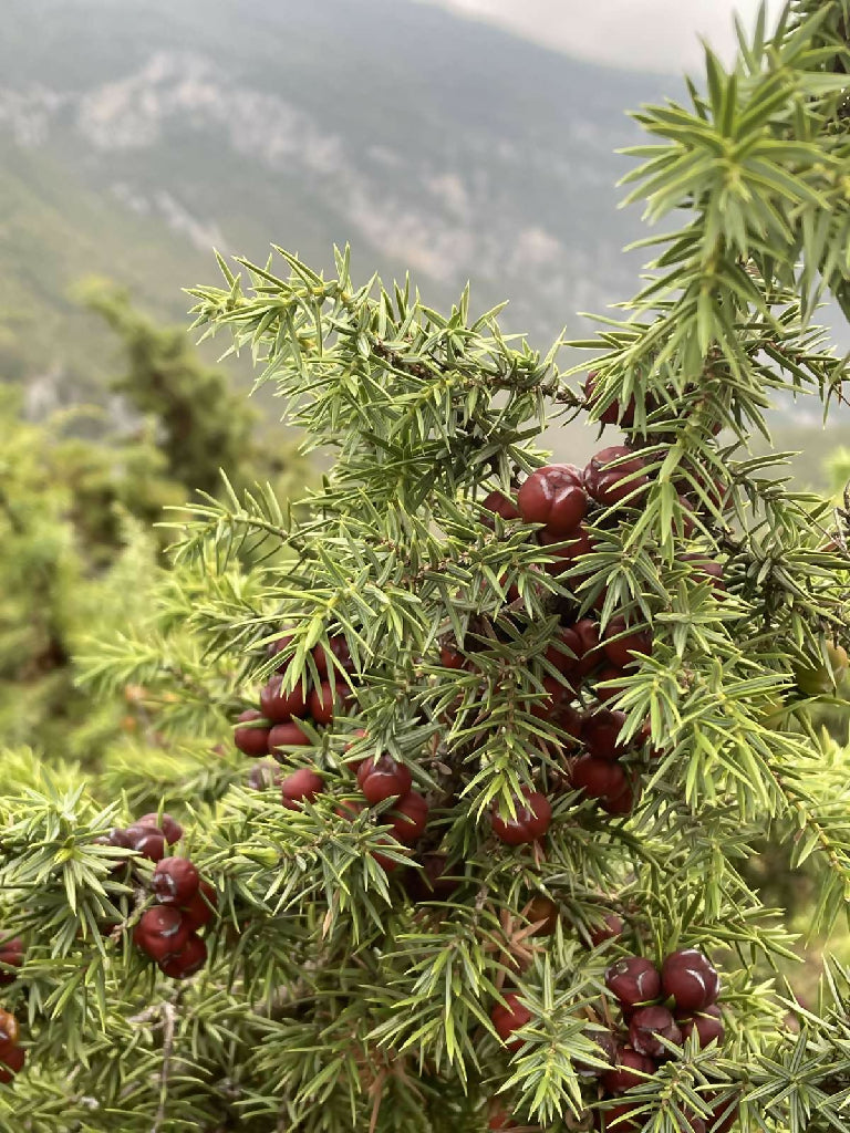 Домашен џин 250ml